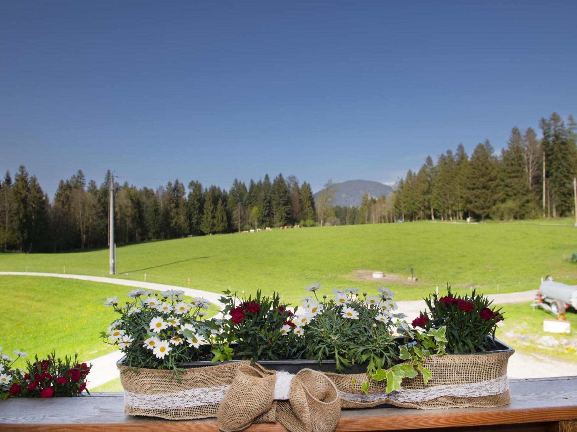 Auszeit Am Bauernhof Appartement Schwoich Buitenkant foto
